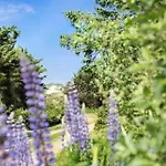 Сasa de vacaciones 20220-ulfborg-sundhuse-13 Ulfborg