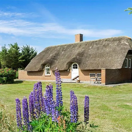 20220-ulfborg-sundhuse-13 Σπίτι διακοπών