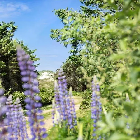 Tatil Evi 20220-ulfborg-sundhuse-13 Ulfborg