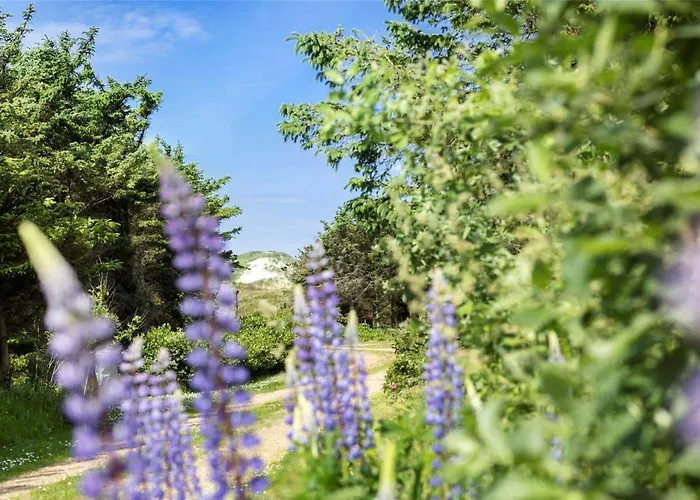 Дом отдыха 20220-ulfborg-sundhuse-13 *